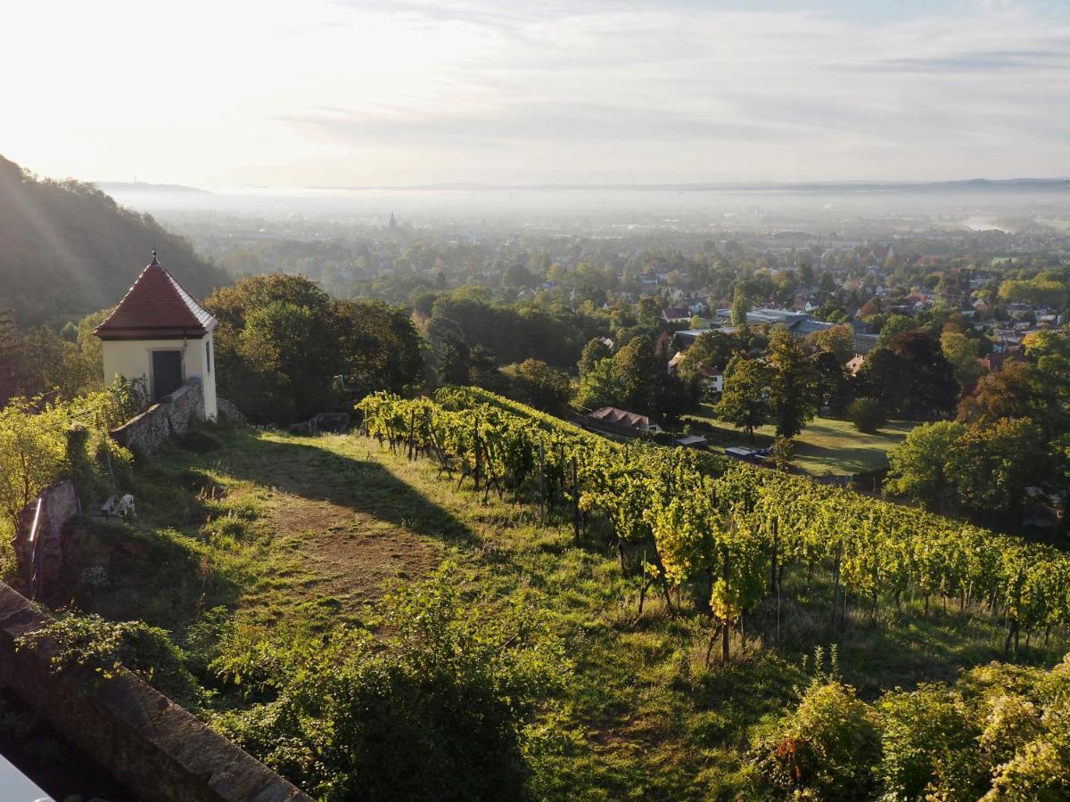 Wohlfuehl-Apartment Am Loesnitzgrund Radebeul Dış mekan fotoğraf